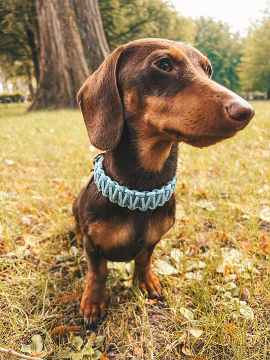 BioThane® Paracord Halsband Fiete