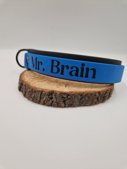 Personalisierung Halsband