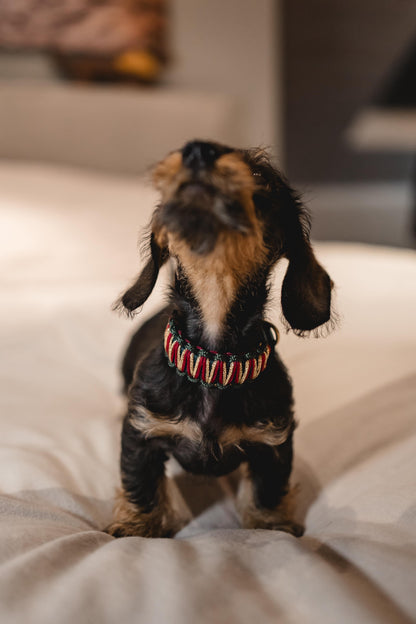 BioThane® Halsband Weihnachten