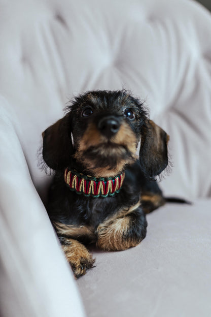 BioThane® Halsband Weihnachten