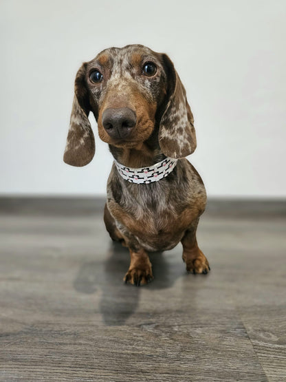 UV BioThane® Halsband EDDA