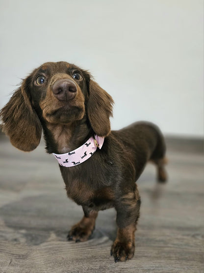 UV BioThane® Halsband ROSA