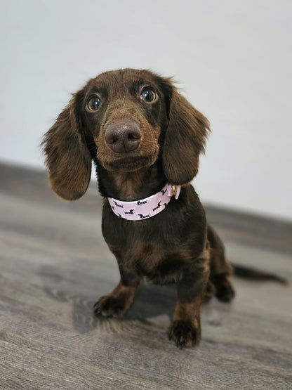 UV BioThane® Halsband ROSA