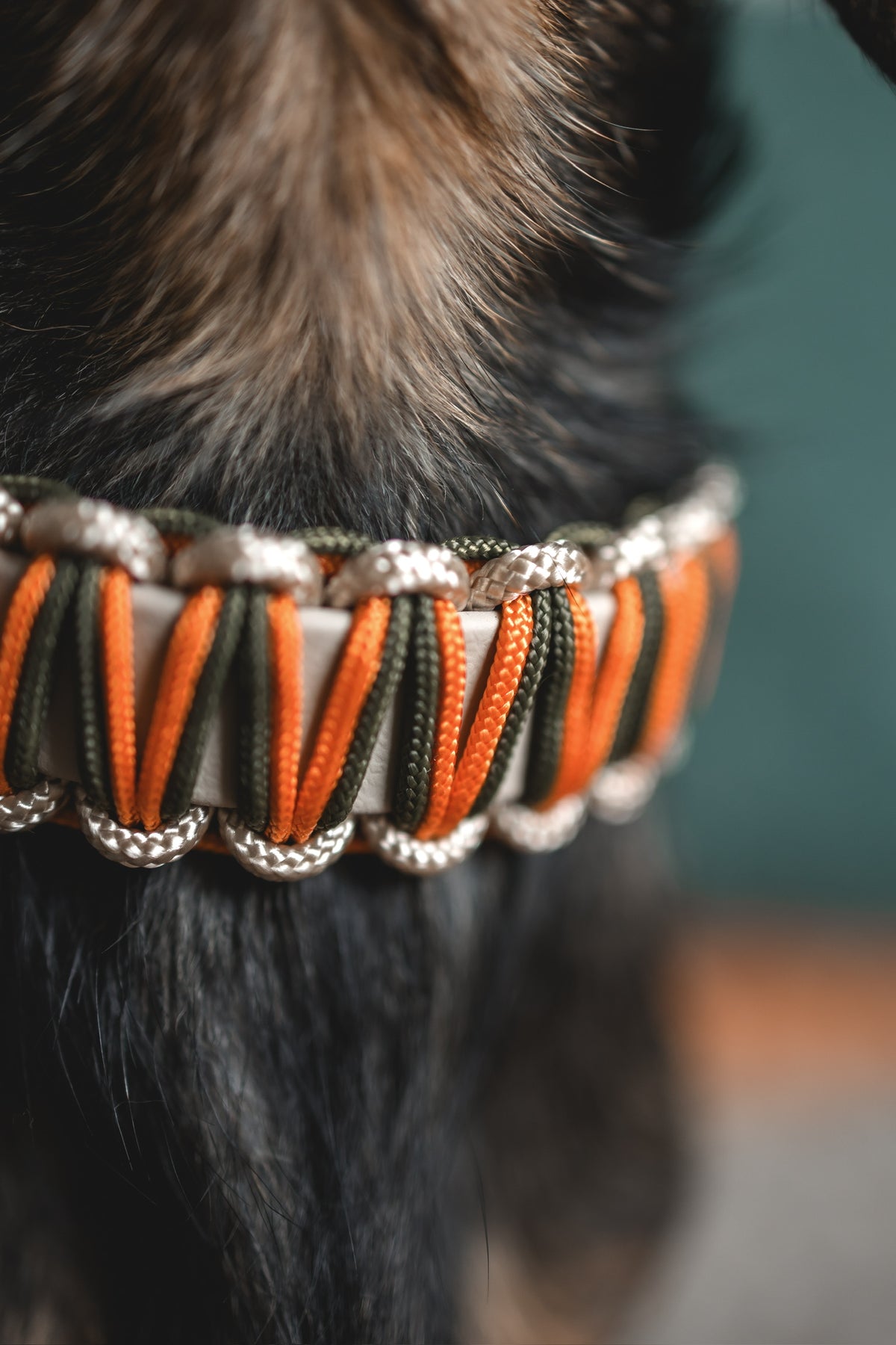 Biothane Paracord Halsband Herbstzauber