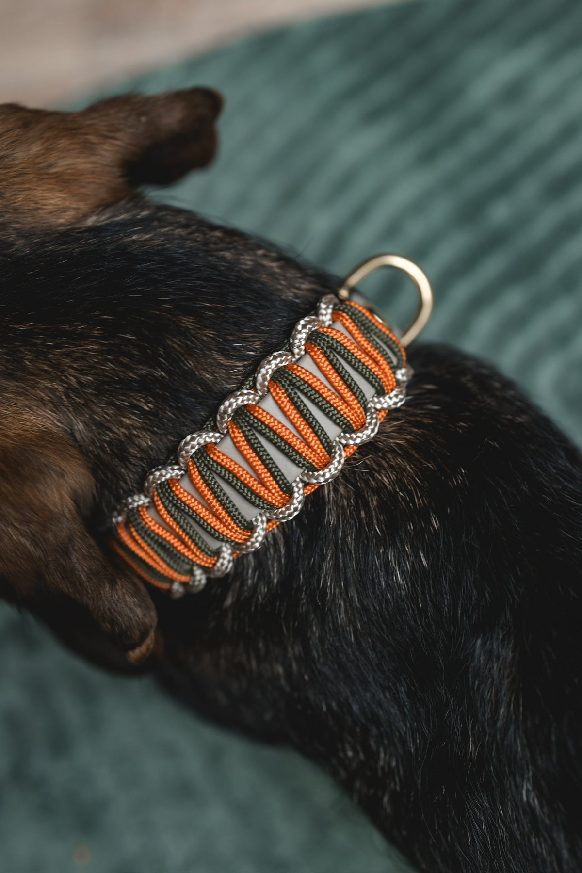 Biothane Paracord Halsband Herbstzauber