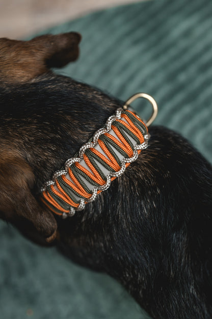 Biothane Paracord Halsband Herbstzauber