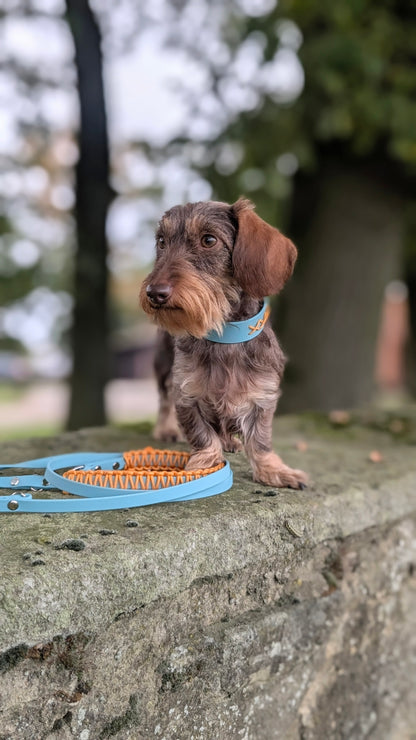 BioThane® Halsband IVY