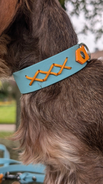 BioThane® Halsband IVY