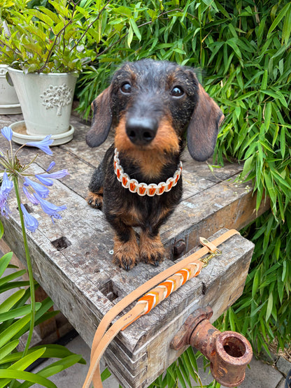 Holy Aperoly Halsband