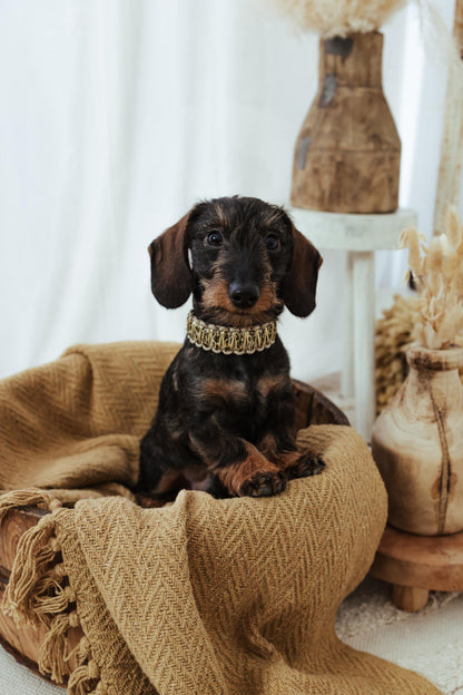 Luxury Leo Halsband