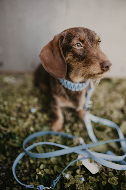 BioThane®/Paracord Halsband