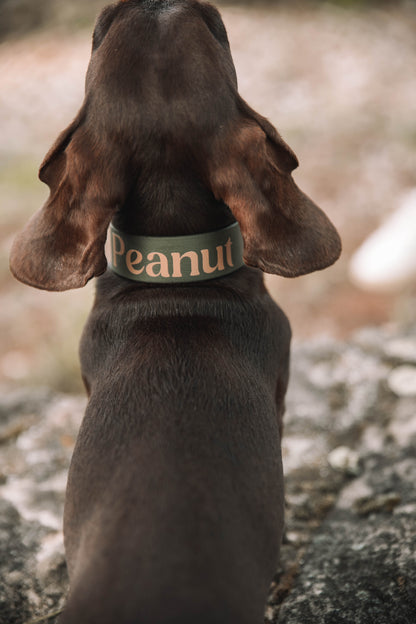 BioThane® Halsband personalisiert
