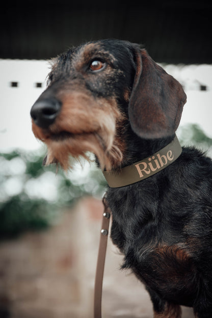 BioThane® Halsband personalisiert