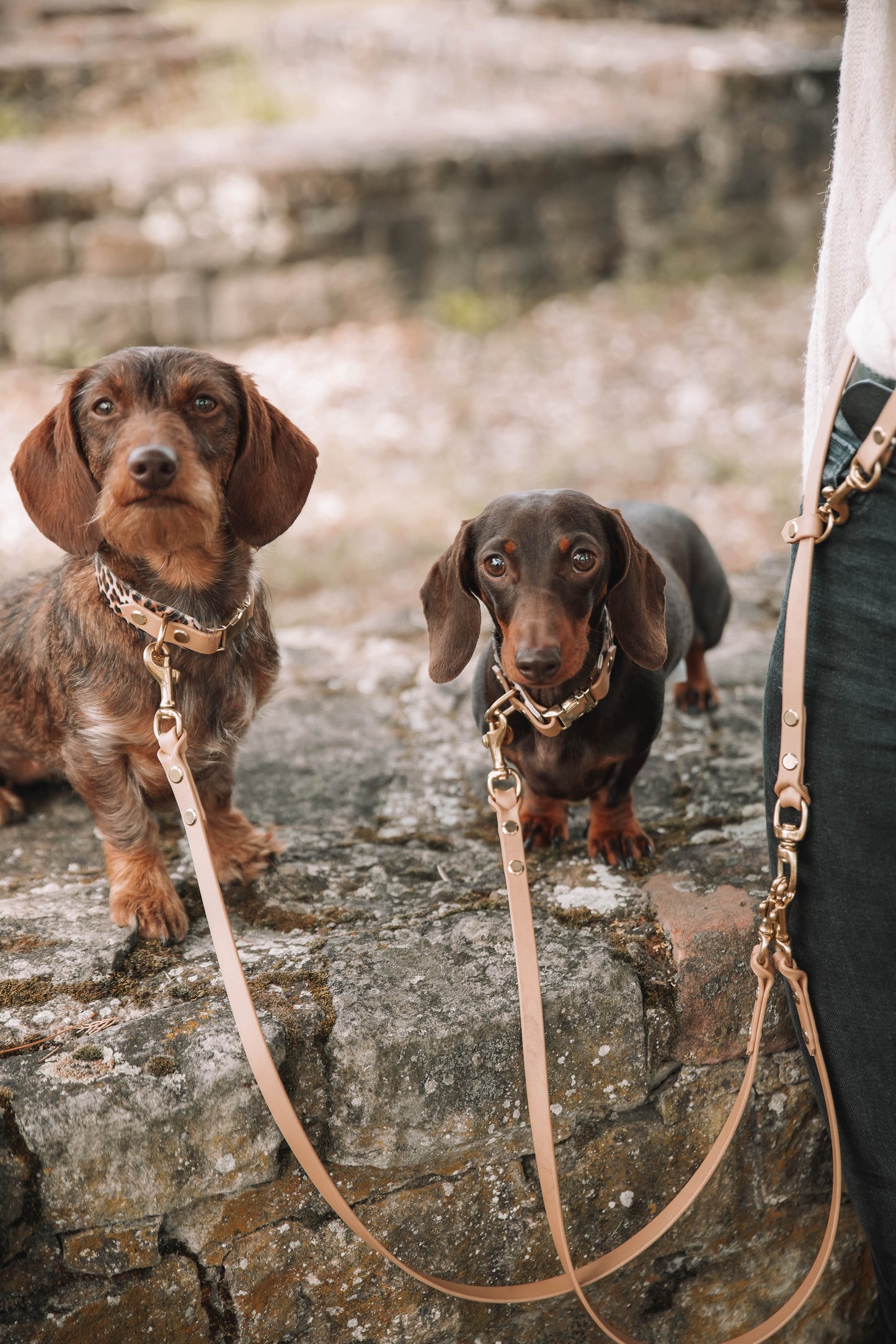 UV BioThane® Halsband